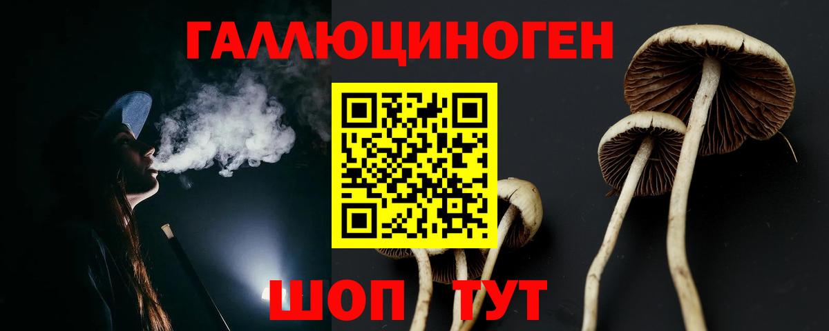 Галлюциногенные грибы мухоморы  где найти наркотики  Альметьевск  Вход с VPN 